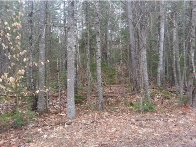 Lot 15 Judges, Thornton, NH 03223 - photo 5