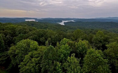 LT169 Doll Mountain Rd, Ellijay, GA 30540 - photo 4