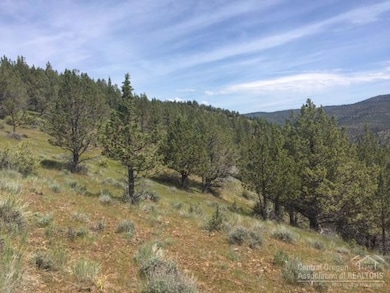 0 Shop Gulch unit 201705141, Mount Vernon, OR 97865 - photo 6