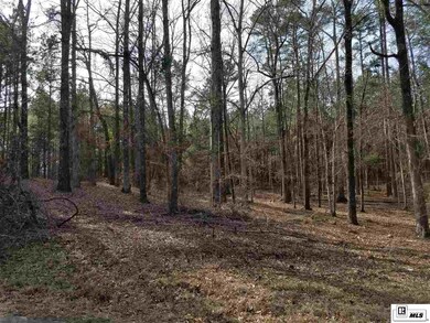 211 Glen Acres Rd, Calhoun, LA 71225 - photo 2