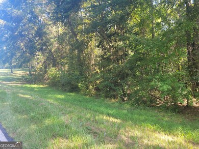 LOT 224 Chula Brookfield Rd, Tifton, GA 31794 - photo 6