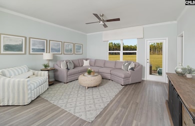 105 Monroe Preserve Ln, Chapin, SC 29036 - photo 7