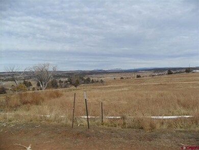 18184 Road 21, Cortez, CO 81321 - photo 3