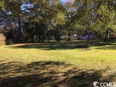 TBD Wren St, Georgetown, SC 29440 - photo 4