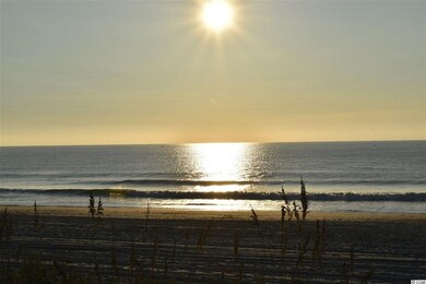 284 Red Maple Loop unit Darcy B, Longs, SC 29568 - photo 5