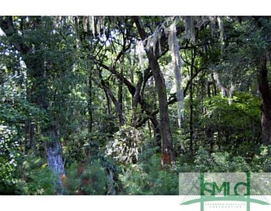 View. Beautiful live oak trees in the backyard nat