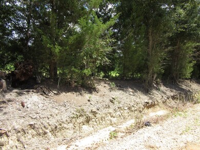 000 Eudon Best Rd, Ashford, AL 36312 - photo 7