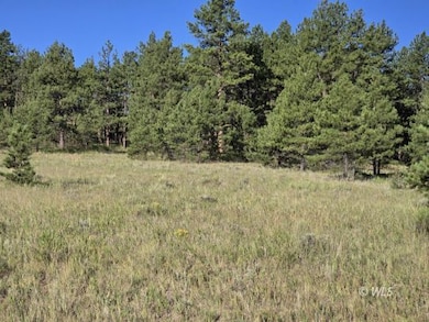 755 Black Fawn Ln, Westcliffe, CO 81252 - photo 5