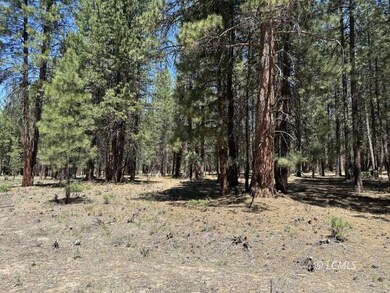 0 Sprague River unit 3007651, Chiloquin, OR 97624 - photo 4