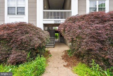 8075 Lacy Dr unit 303, Manassas, VA 20109 - photo 2