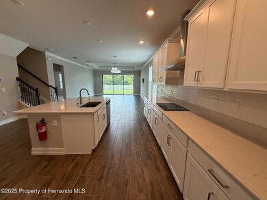 9904 Wild Begonia Loop, Land O' Lakes, FL 34637 - photo 6