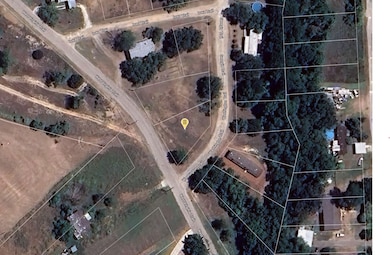 Georgia Trail, Granbury, TX 76048 - photo 3