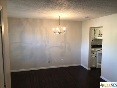 1213 Girard St, San Marcos, TX 78666 - photo 4