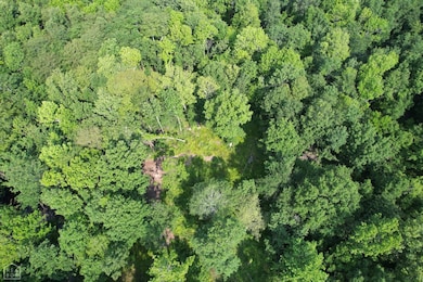 73 Highway 228, Bono, AR 72416 - photo 3