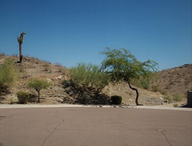 FRONT YARD VIEW