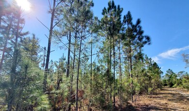 0 SW Prine Rd unit 20907962, Lee, FL 32059 - photo 4