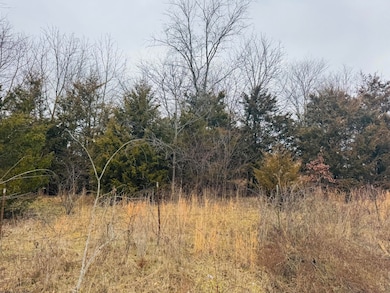 000 Primrose Ln, Clever, MO 65631 - photo 4