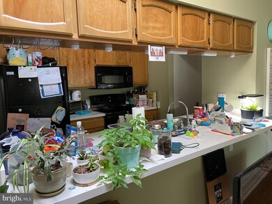 2603 Camelback Ln unit 109, Silver Spring, MD 20906 - photo 6