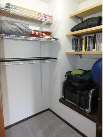 Upper level with walk-in hallway closet