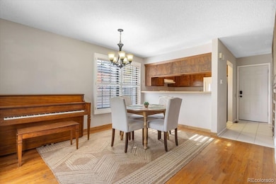 11711 Elk Head Range Rd, Littleton, CO 80127 - photo 7