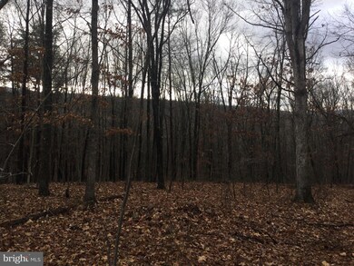 Unknown Owl Ln, Gore, VA 22637 - photo 5