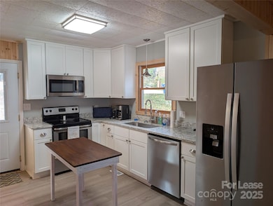 187 Commodore Loop, Mooresville, NC 28117 - photo 6