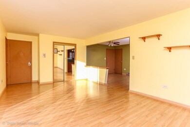 8001 Beloit Ave unit 3B, Bridgeview, IL 60455 - photo 4