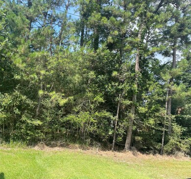 Lot 19 Clear Creek Forest 11, Magnolia, TX 77355 - photo 5