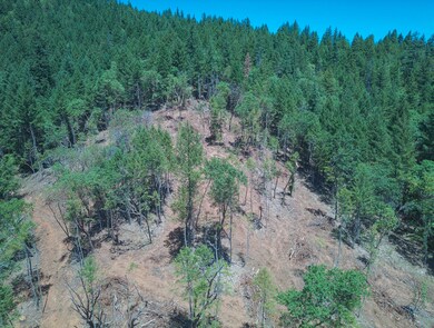 20240718_123842_0004