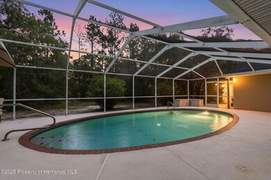 17155 Dalberg Dr, Shady Hills, FL 34610 - photo 3