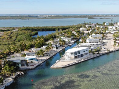 DJI_0367