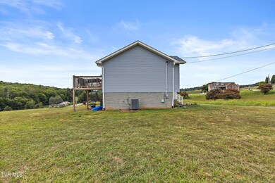 156 Milk Thistle Way, Fall Branch, TN 37656 - photo 4