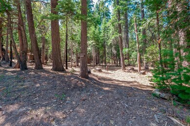 3730 Apache Rd, Dorrington, CA 95223 - photo 4