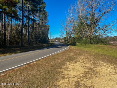 5.25 Ac Sally Parker Rd, Lucedale, MS 39452 - photo 3