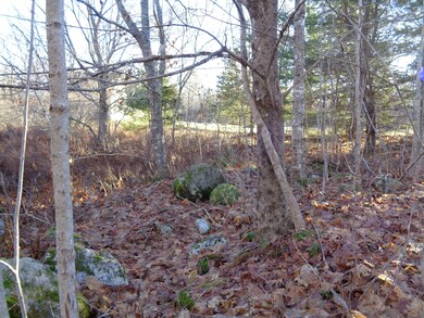 Vacant lot
