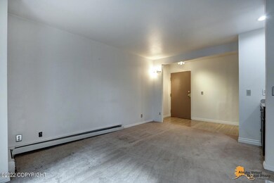 Living Room / Entry Door