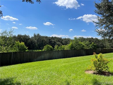 3320 N Burroughs Path, Beverly Hills, FL 34465 - photo 6