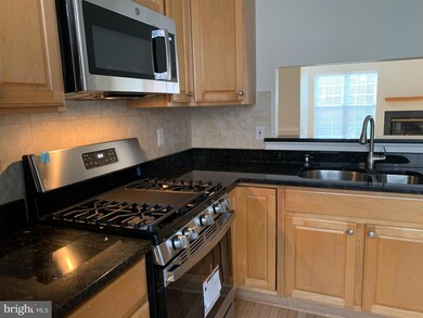 6098 Madison Pointe Ct, Falls Church, VA 22041 - photo 4