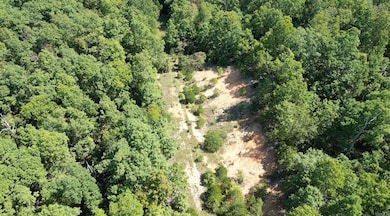 512 Twilight Dr, Horseshoe Bend, AR 72512 - photo 5