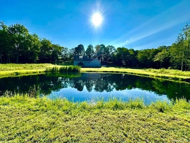 595 Hurd and Parks Rd, Swan Lake, NY 12783 - photo 6