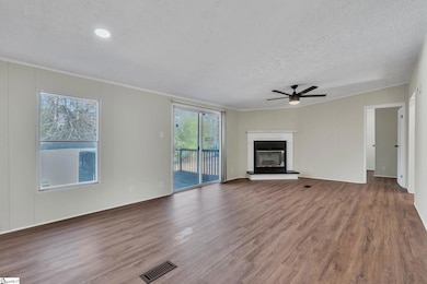 20 Hope Alyson Ct, Piedmont, SC 29673 - photo 2