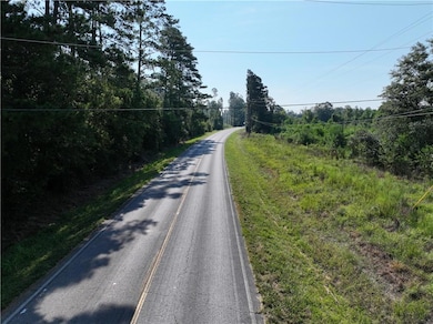 0 Louisiana 1045, Amite, LA 70422 - photo 3