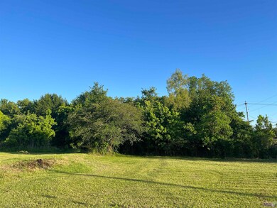TBD Peter Messina Rd, Addis, LA 70710 - photo 2