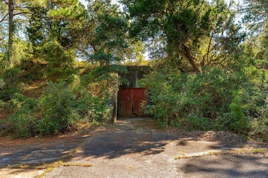 3019 Ion Ave, Sullivans Island, SC 29482 - photo 7