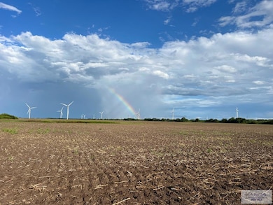 10 Ac (Tr 1) Primrose Rd, Lyford, TX 78569 - photo 4