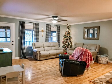 61 Crowe Ln, Flintstone, GA 30725 - photo 4