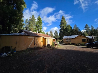 441 Red Blanket Rd, Prospect, OR 97536 - photo 3