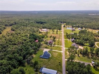 Bird's eye view of a forest