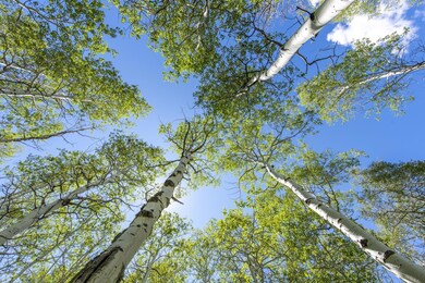 Lot-View_high_3303137