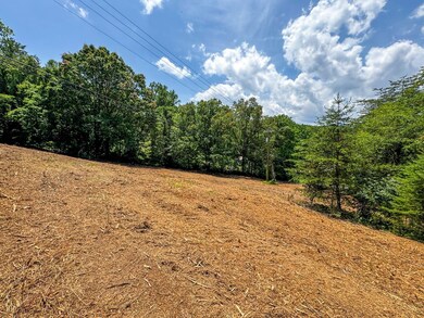 0 Island Cove Rd unit 23824831, Rocky Top, TN 37769 - photo 7